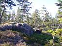 100_0158_2.jpg
