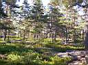 100_0160_2.jpg